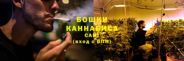 дурь Богородицк