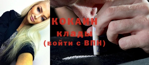 дурь Богородицк
