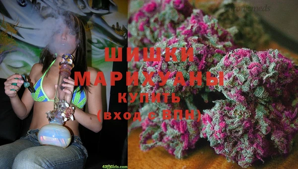 дурь Богородицк