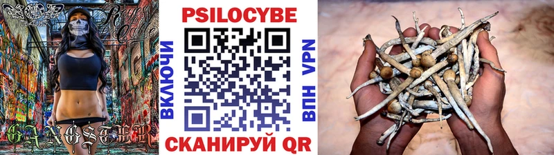 Псилоцибиновые грибы мухоморы  кракен сайт  Могоча  дарнет шоп 